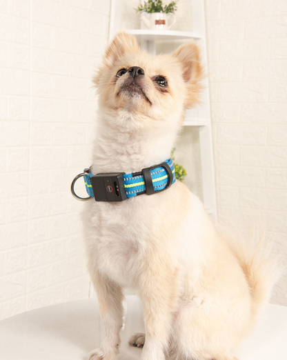 Fiber Optic Waterproof Magnetic Charging Pet Collar