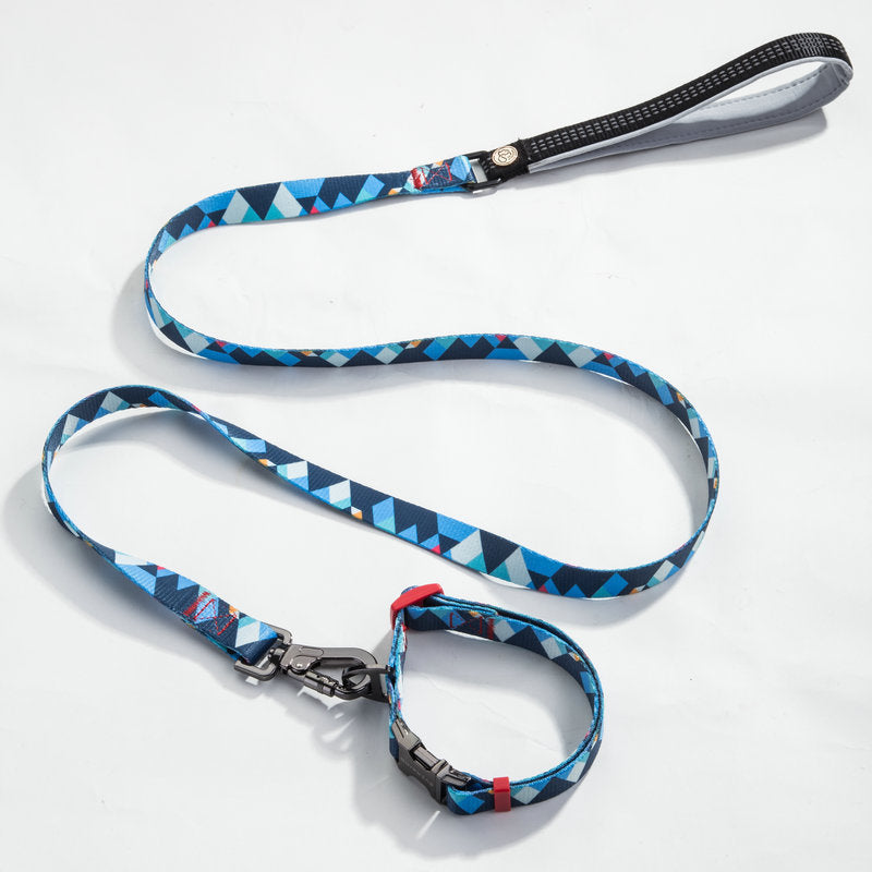 Pet leash collar