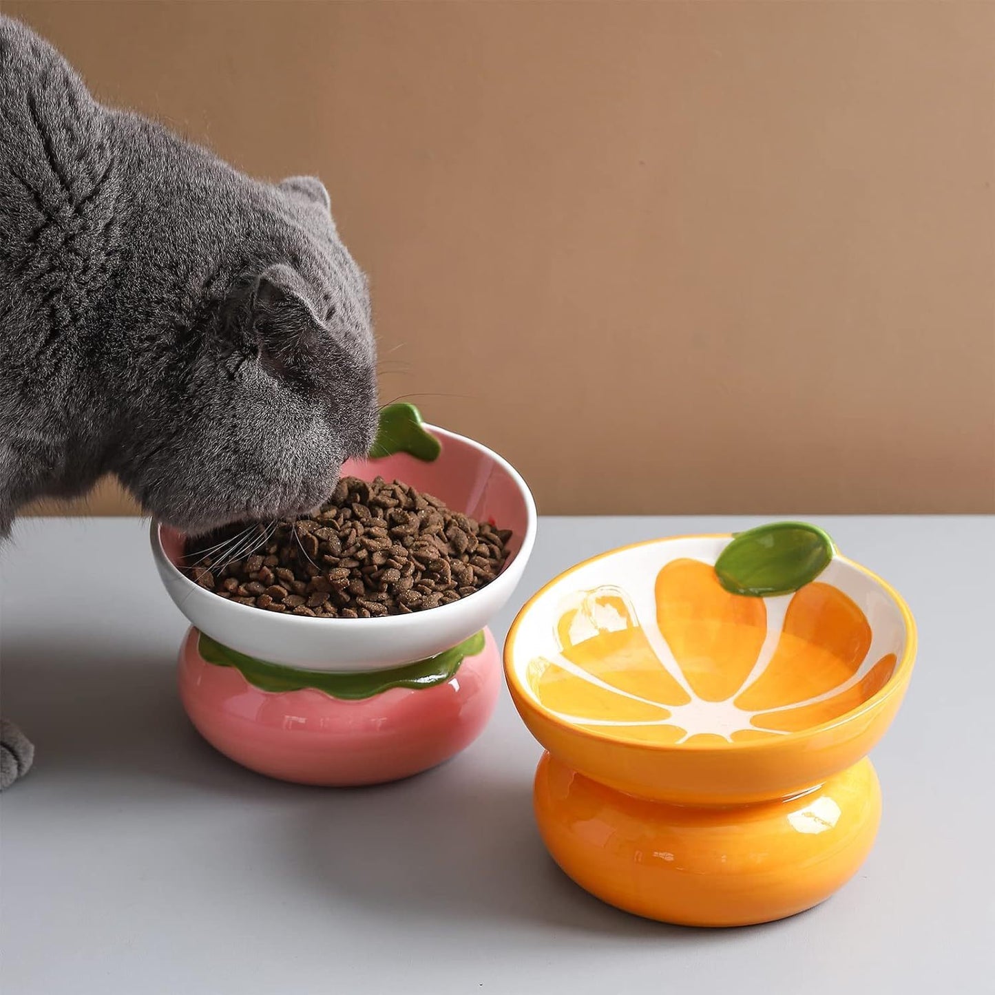 Ceramic Raised Cat Food Bowl Pink Elevated Dish