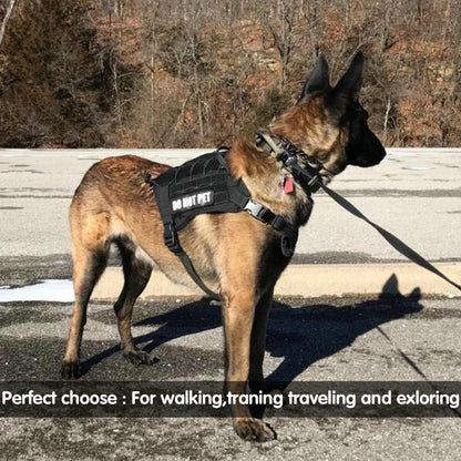 Training Dog Leash