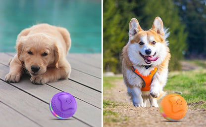 Interactive Dog Toys Ball, Automatic Rolling Toy, Lively Pet Ball