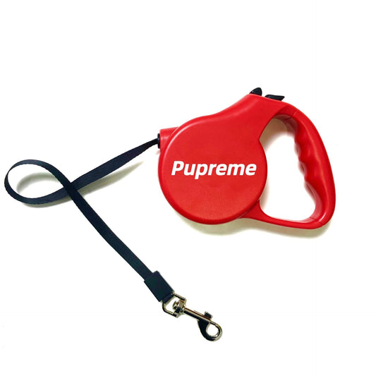 Pet Automatic Retractable Dog Leash