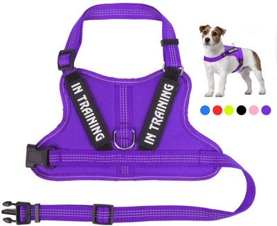 Personalize Per harness