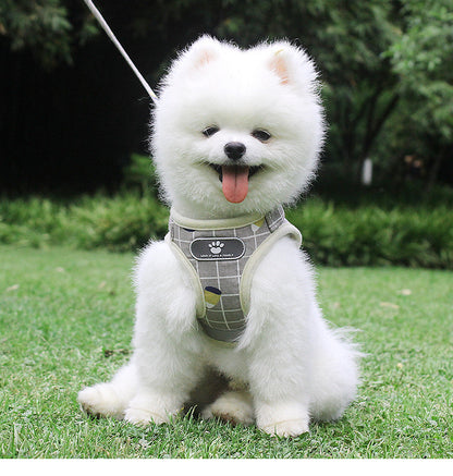 Breathable Mesh Small Dog Harness and Leash