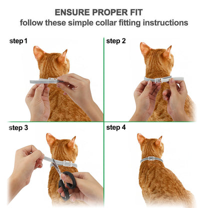 Pet cat puppy mosquito repellent collar