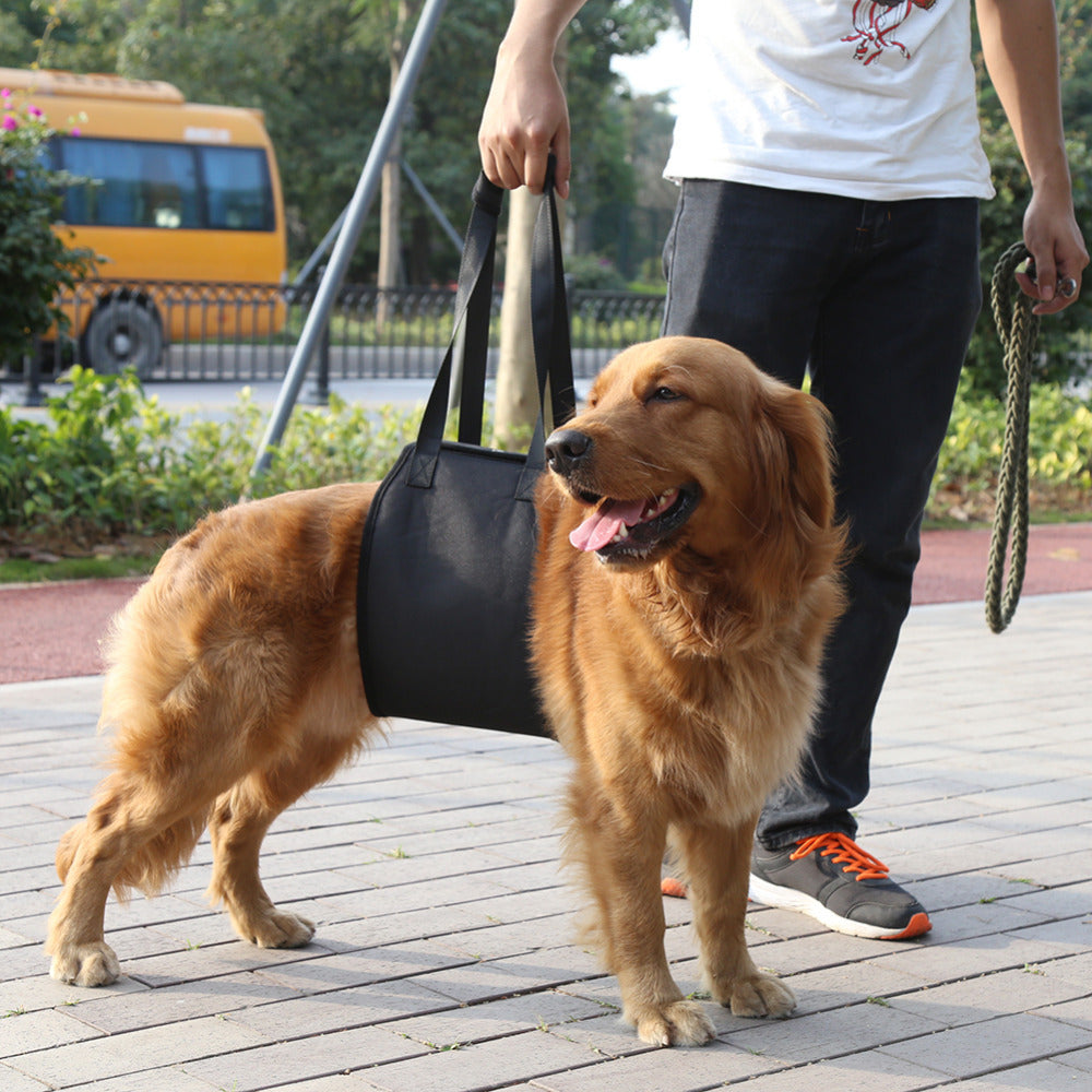 Dog leash auxiliary belt