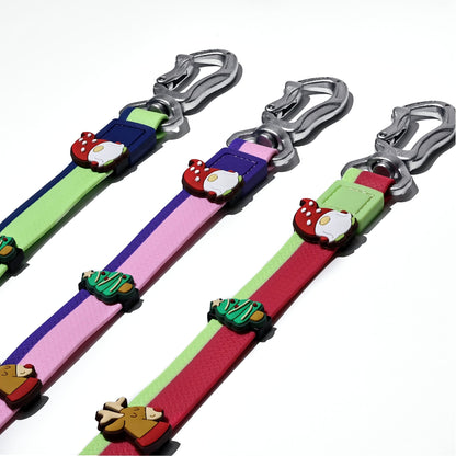 The New Dual-Color Embossed Pet Leash Set