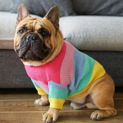 Rainbow Dog Sweater