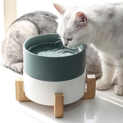 Cat and dog food bowl dog bowl