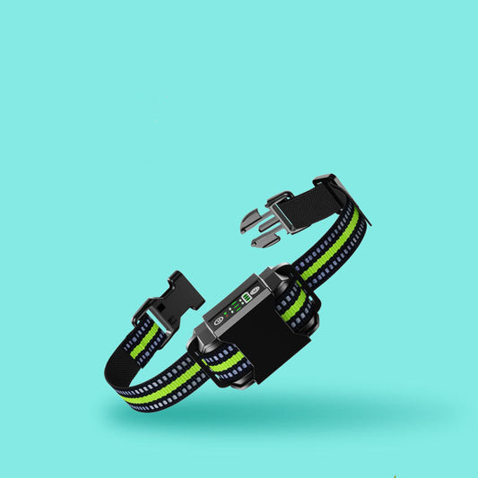 Intelligent Anti Misjudgment Automatic Dog Trainer