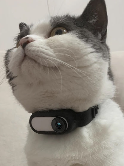 Pet Supplies Cat And Dog Collar Camera Indoor And Outdoor Wireless Recording