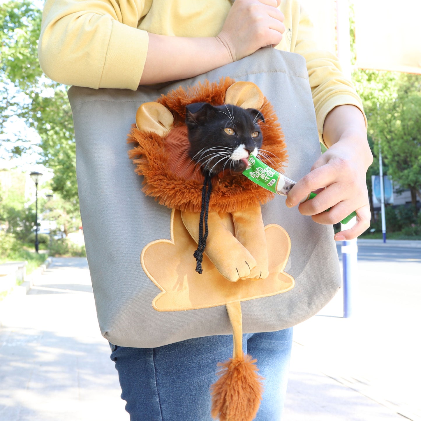 Soft Pet Carriers Lion Design Portable Breathable Bag Cat Dog Carrier