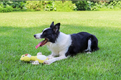 Bite-resistant Interactive Pet Dog Toy