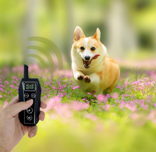 Fashion Pet Supplies Remote Control Dog Trainer