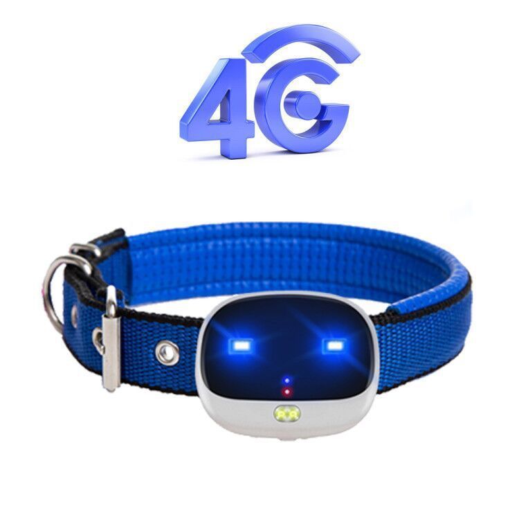 4G Pet Locator Collar LED Night Vision App Motion Monitoring