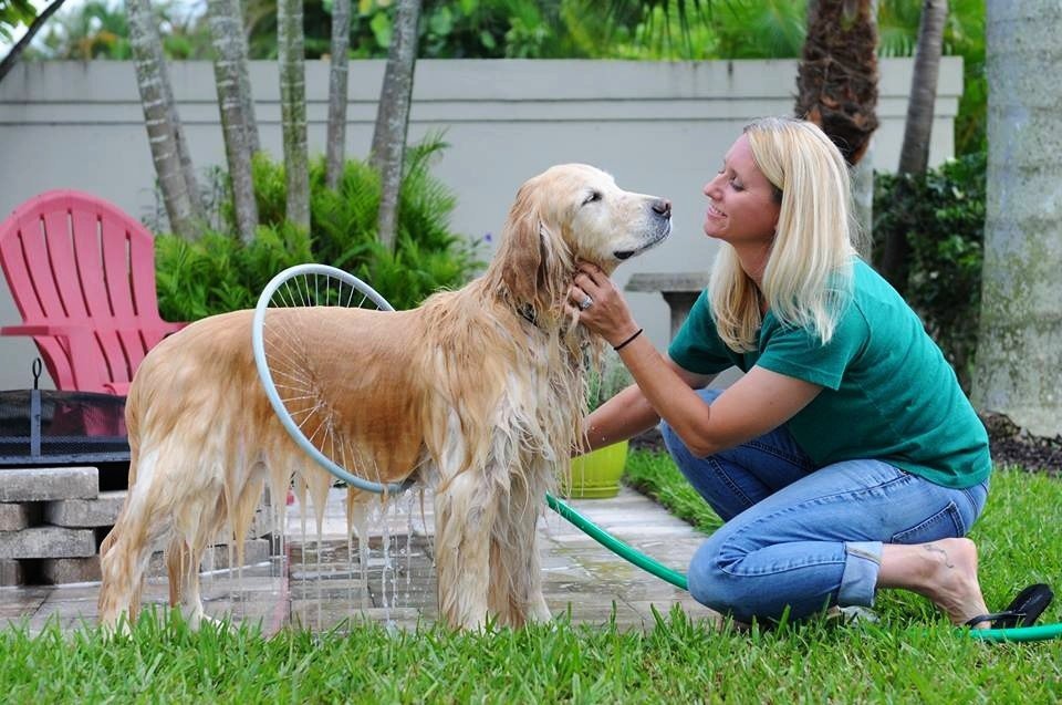 Fully automatic 360 degree pet supplies bath ring