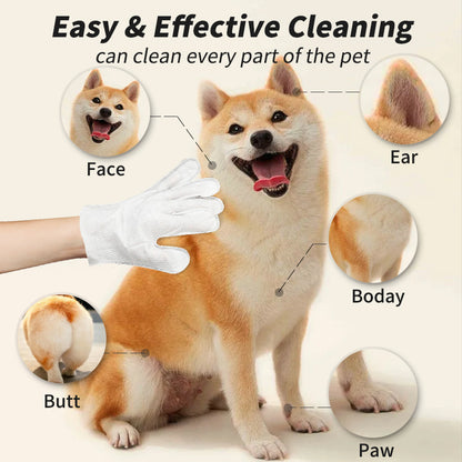Pet Disposable Gloves Dog Cleaning Dry Cleaning Gloves
