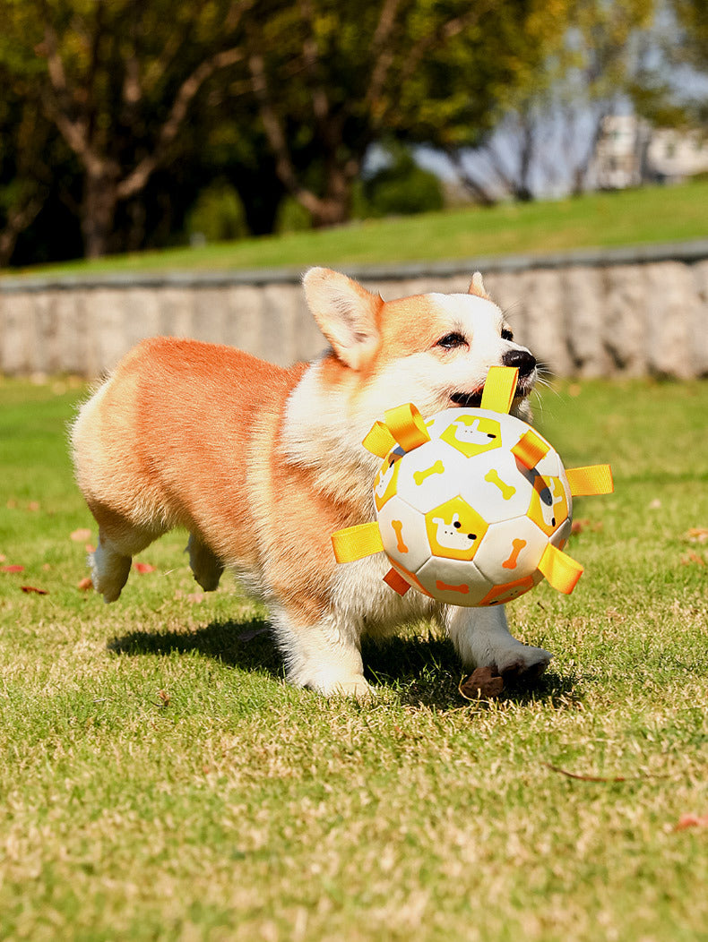 Pet Interactive Football Dog Outdoor Toy Molar Long Lasting