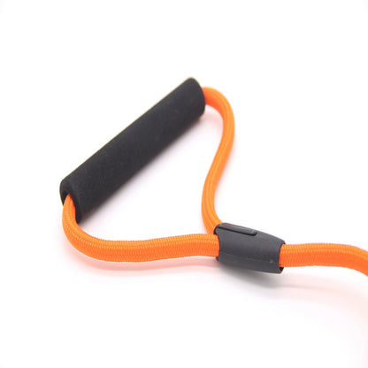 Double traction rope dog walking training