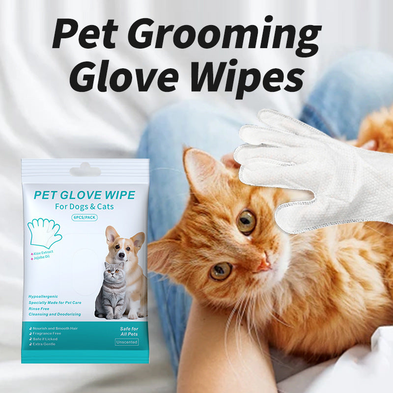 Pet Disposable Gloves Dog Cleaning Dry Cleaning Gloves