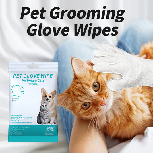 Pet Disposable Gloves Dog Cleaning Dry Cleaning Gloves