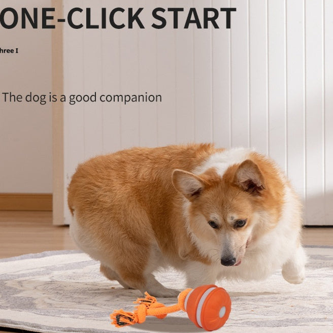 Pet Ball For Dogs Interactive Toys Motion Activate Rolling Ball