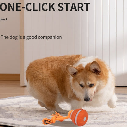 Pet Ball For Dogs Interactive Toys Motion Activate Rolling Ball