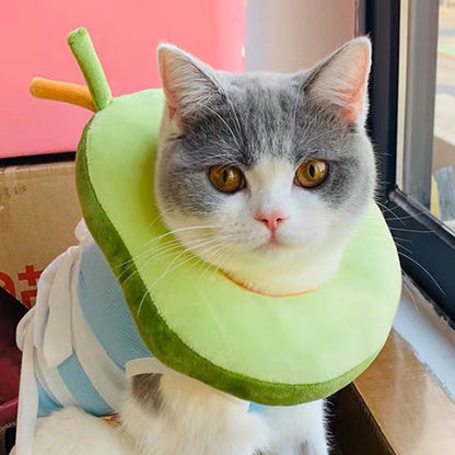 Pet headgear anti-licking shame circle