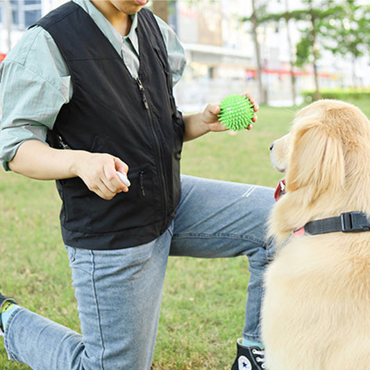Multi Functional Large Pocket Clothes For Dog Training