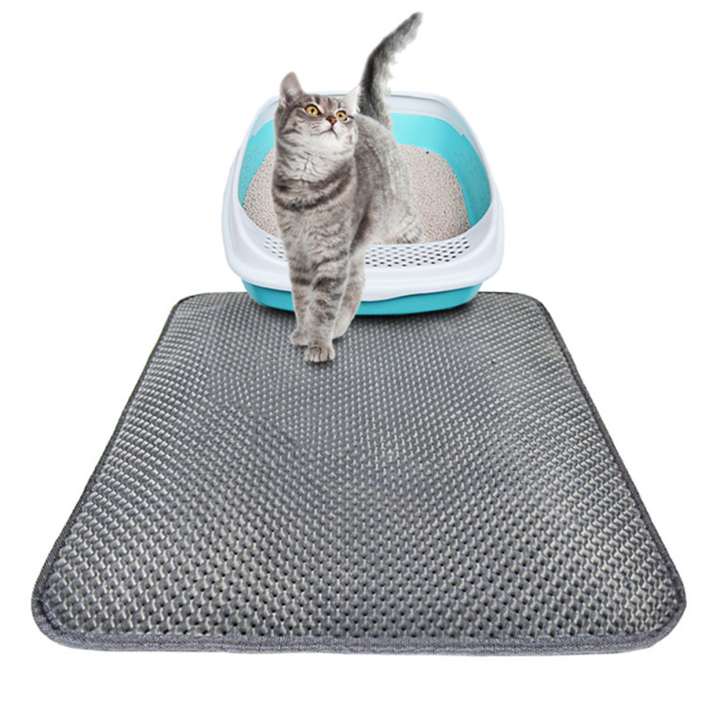 Double Layer Litter Cat Bed Pads Pet Cat Litter Mat Trapping