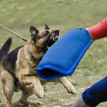 Dog Training With Tearresistant Cloth Biting Sleeves