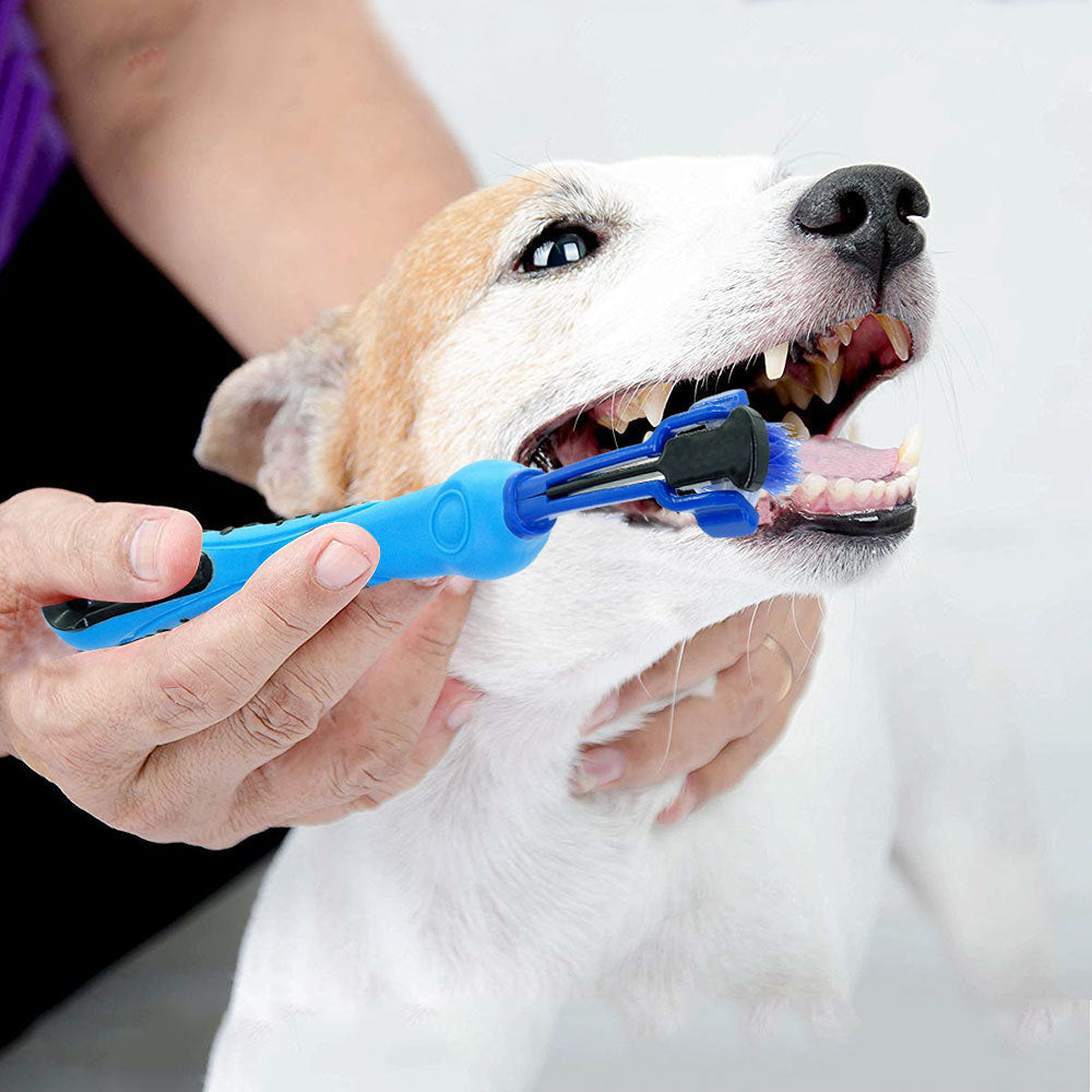 1 random color toothbrush pet plush dog brush