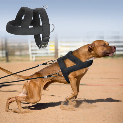 Dog Weight Pulling Training Harness Pulling Leash For Work Dogs