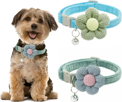 Small Dog Collar Dog Collar For Girl With Flower Puppy Collar