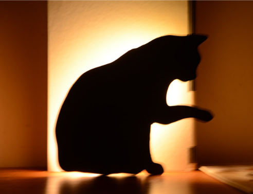 LED Animal Dog Cat Shape Night Light Sensor Control Smart Sound