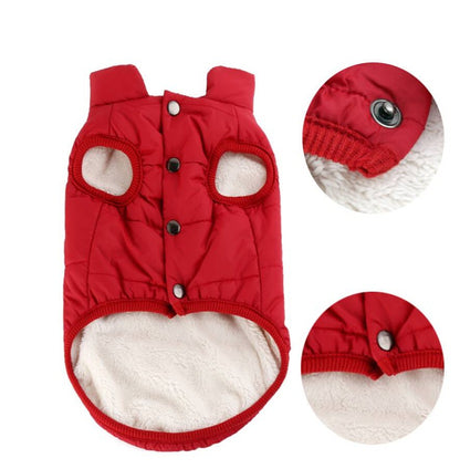 Teddy Dog Clothes Autumn And Winter Clothes