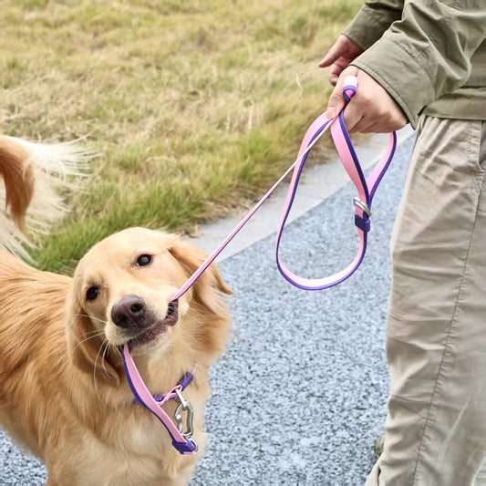 The New Dual-Color Embossed Pet Leash Set