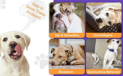 Interactive Dog Toys Ball, Automatic Rolling Toy, Lively Pet Ball