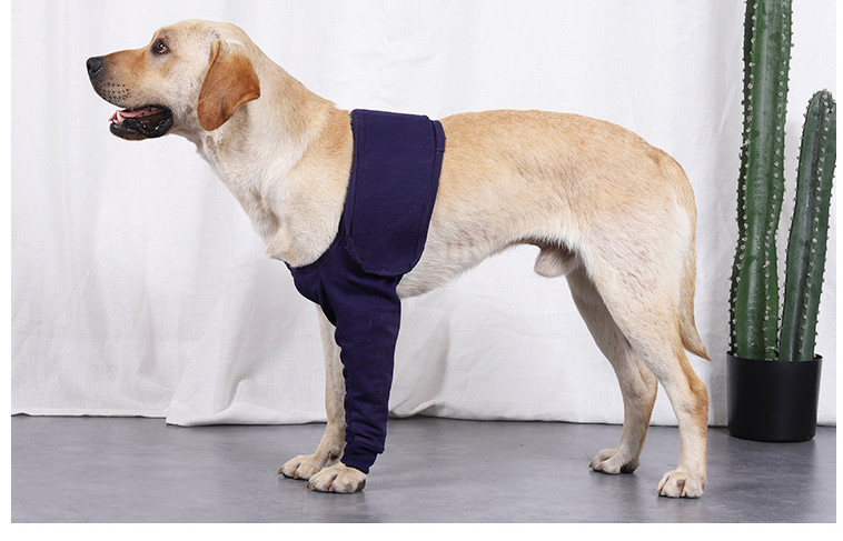 New Anti-licking Sleeve For Postoperative Recovery Of Dog Legs Pet