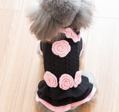 Dog clothes