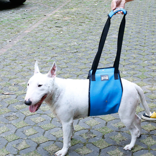 Dog Leg Injury Protection Pet Walking Belt