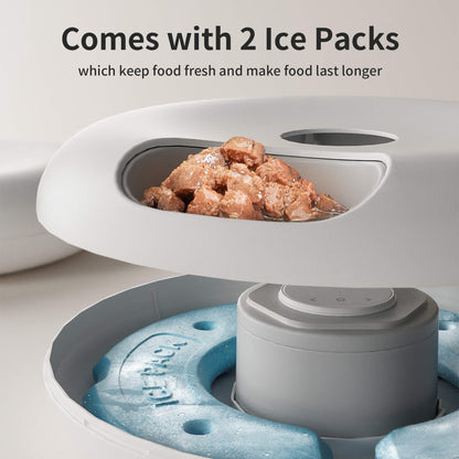 Donut Frost WiFi 6 Meal Automatic Cat Food Dispenser