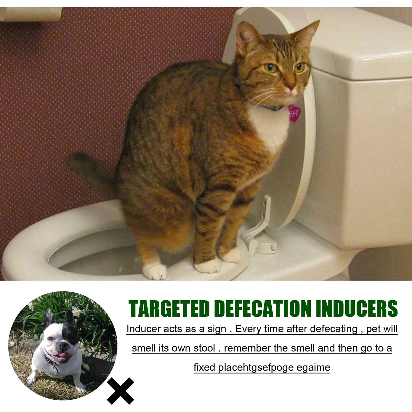 Pet Targeted Defecation Inducer Auxiliary Training Pet