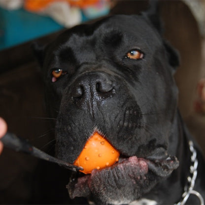 Dog Training Bite Resistant Rubber Ball Small Medium-sized Large