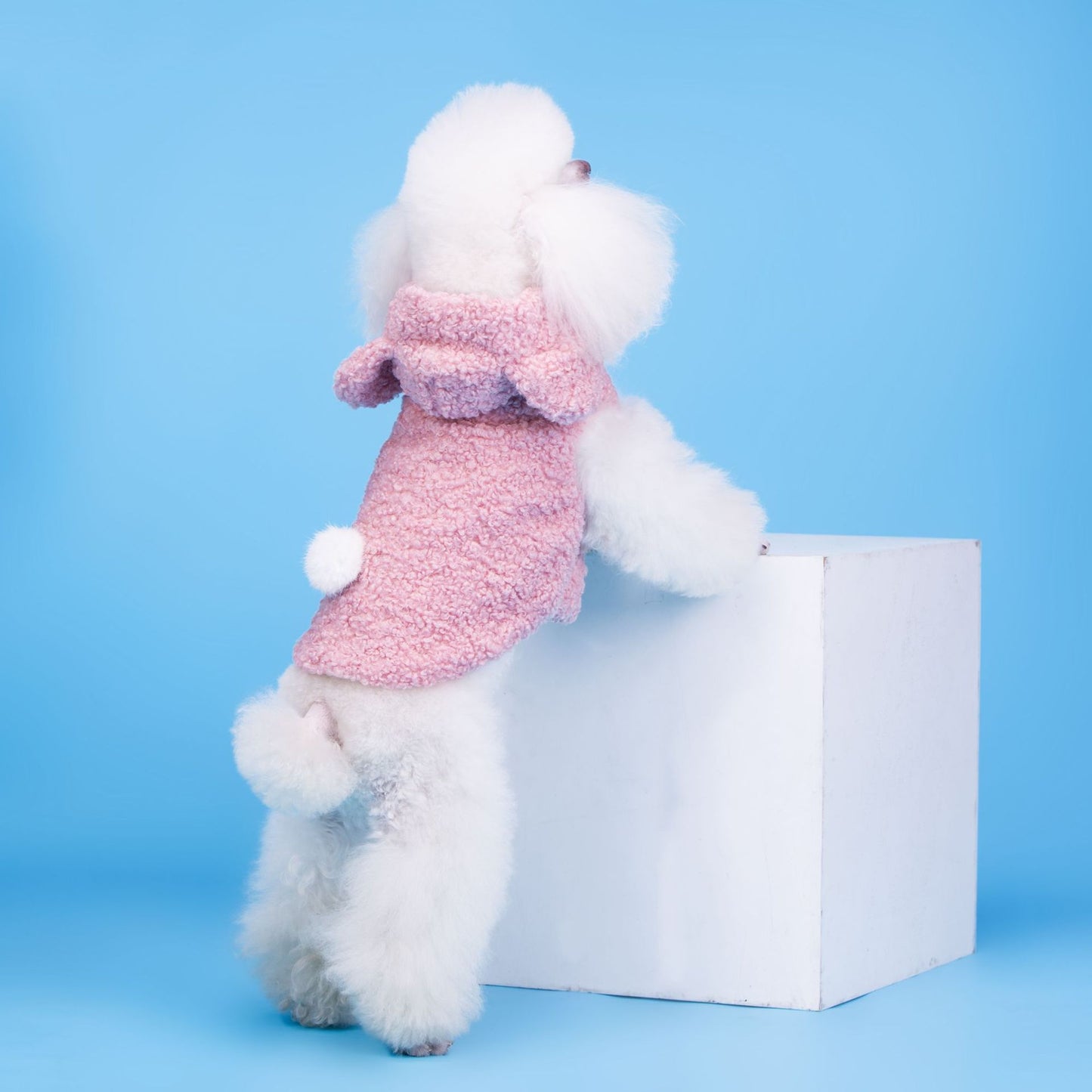 Dog Clothes Cubs Split Two-legged Teddy Dog Pet