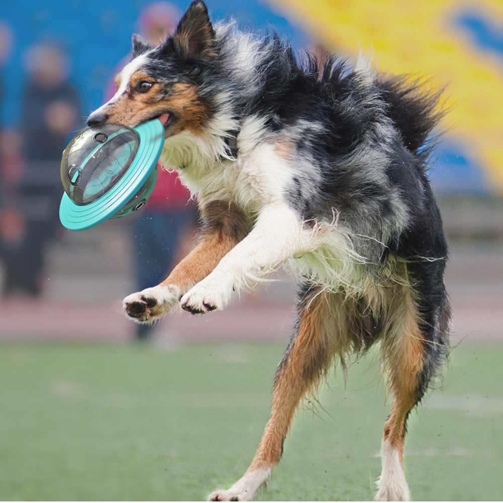 Dog Interactive Food Leaking Dispensing Treat Ball