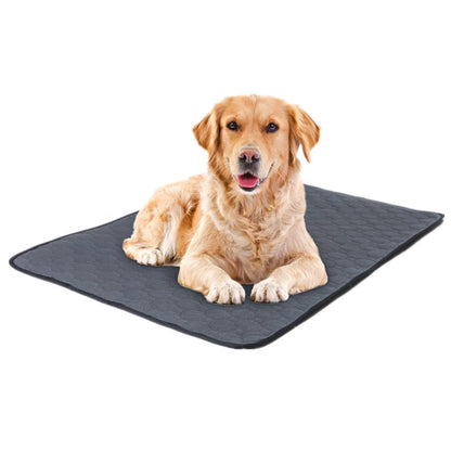 The Floor Mat Is Waterproof And Easy To Clean