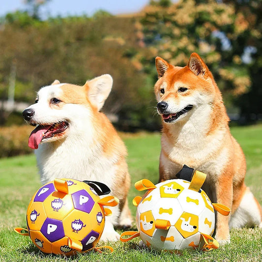 Dog Interactive Football Toys Children Soccer Dog Outdoor Training Balls