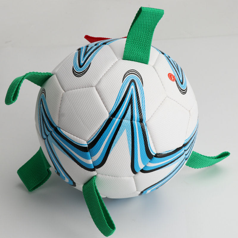 New Pet Training With Rope Football