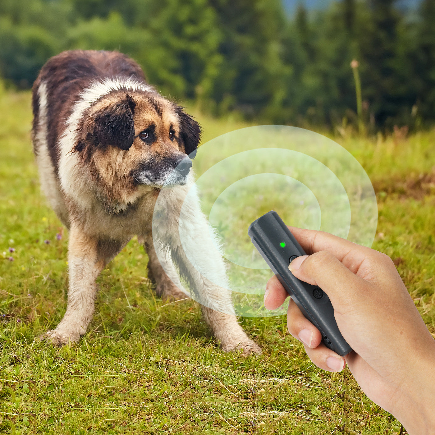 Mini Ultrasonic Dog Drive High Power Barking Stop